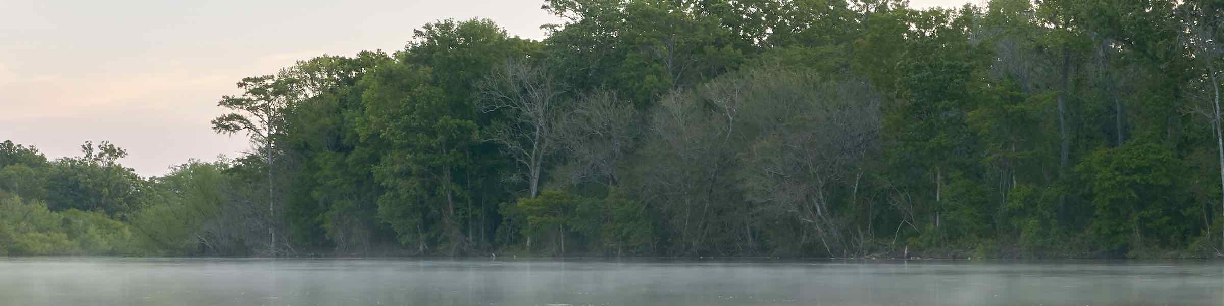 Hazy scene on the Altamaha River, Georgia.