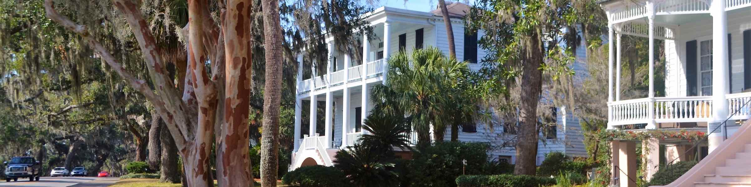 Historic mansion and crepe myrtle tree on Bay Street, Beaufort, SC.