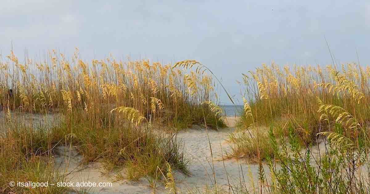 Martello Tower, Tybee Island History