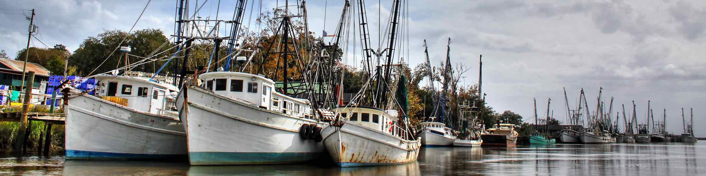 Shrimp boats docked along a Georgia river.