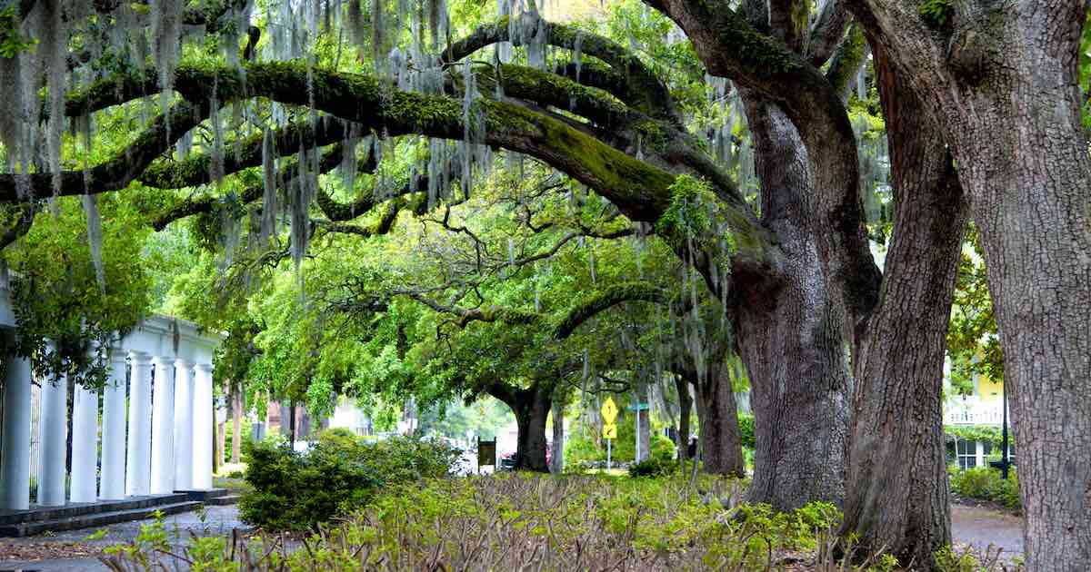 Forsyth Park Fragrant Garden, Savannah