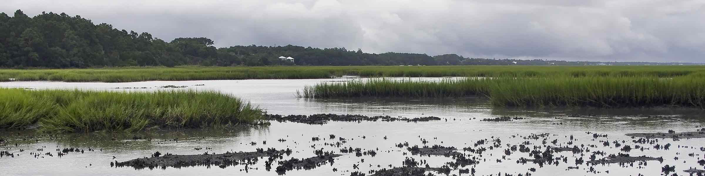 View of the marshes at Huntington Beach State Park, near Myrtle Beach, SC on a cloudy day.