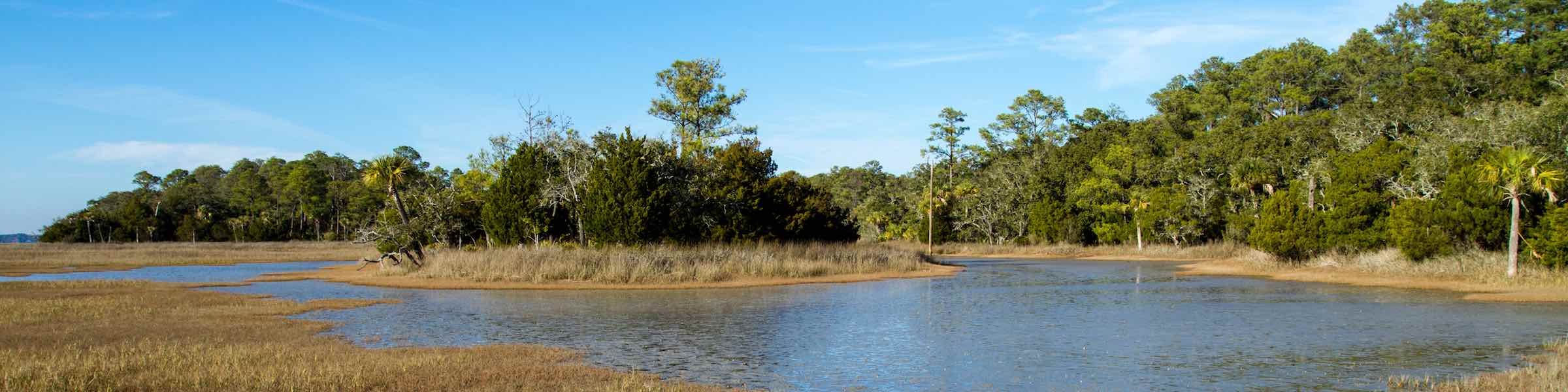 Trees and marsh at Pinckney Island National Wildlife Refuge, South Carolina.