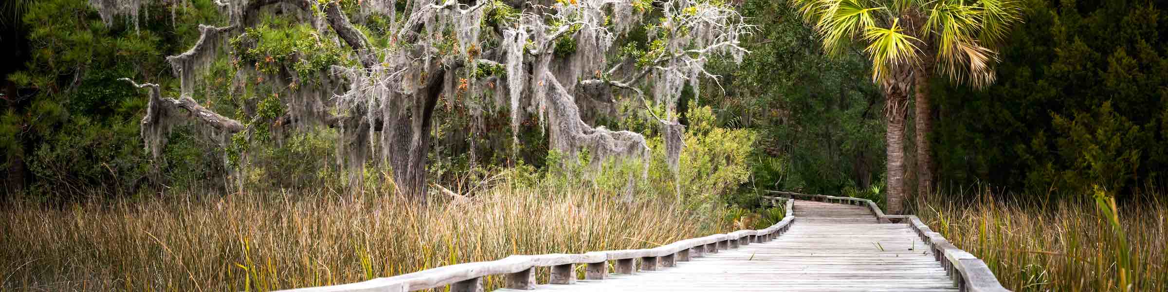 A boardwalk through the marsh landscape near Savannah, GA.