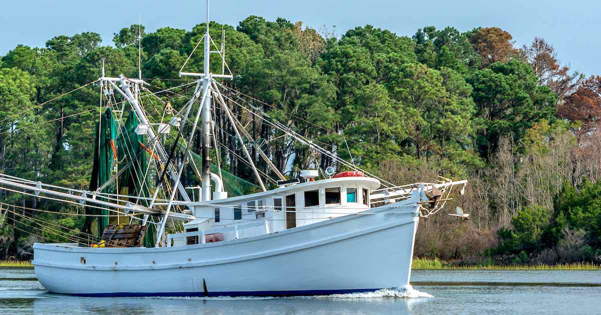 Seafood Festivals in Savannah & Coastal GA/SC in 2022