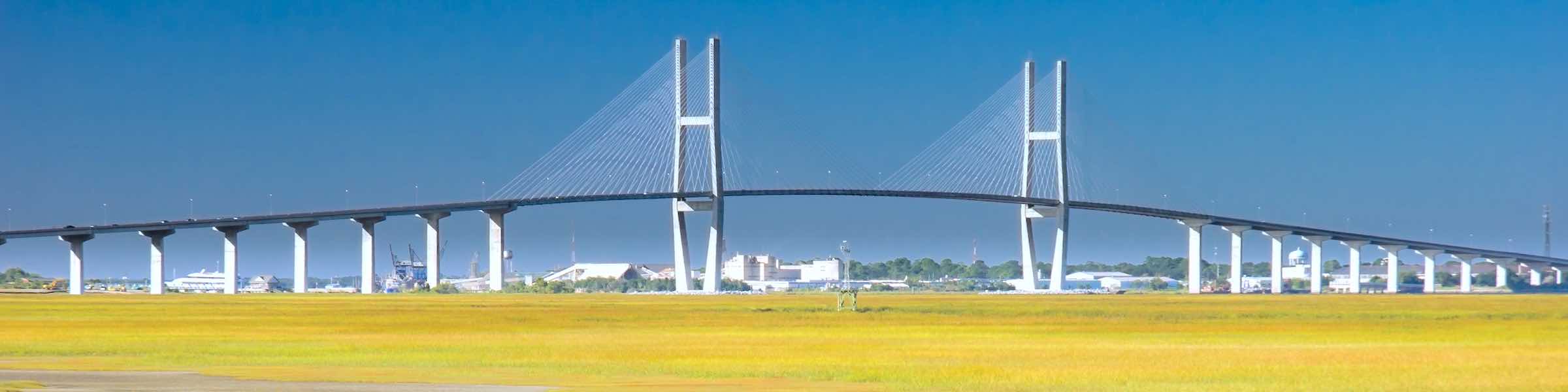 The Sidney Lanier Bridge seen across the marsh.