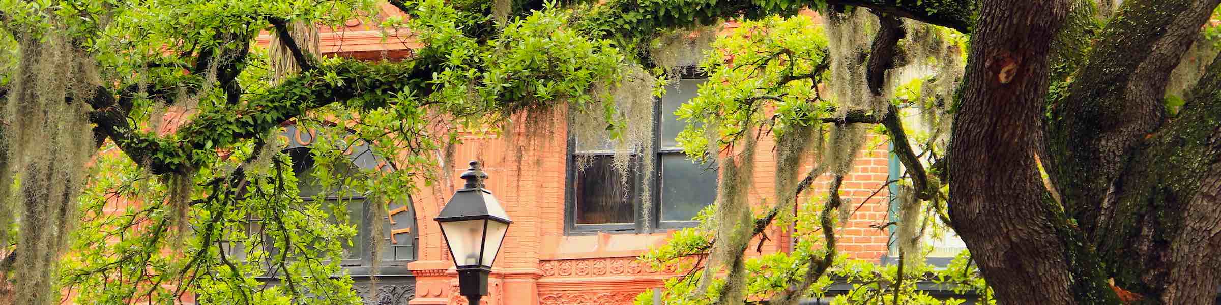 Mossy trees and the old Cotton Exchange as seen from Bay Street, Savannah.