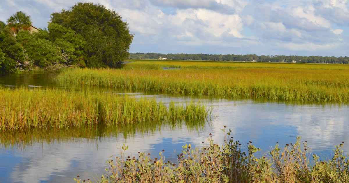 Kayaking St Simons Island: Kayak Rental, Tours, Fishing